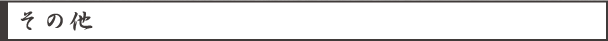 その他