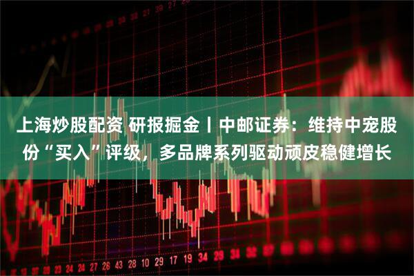 上海炒股配资 研报掘金丨中邮证券:维持中宠股份“买入”评级,多品牌系列驱动顽皮稳健增长