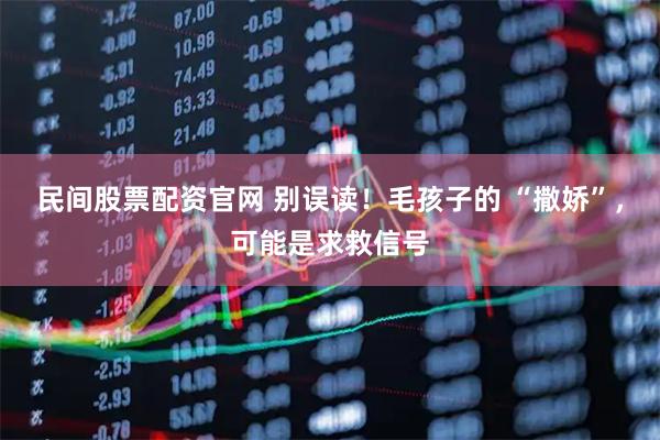 民间股票配资官网 别误读！毛孩子的 “撒娇”，可能是求救信号